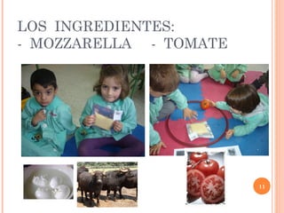 LOS INGREDIENTES:
- MOZZARELLA - TOMATE

11

 