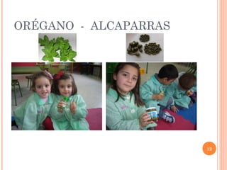 ORÉGANO - ALCAPARRAS

12

 