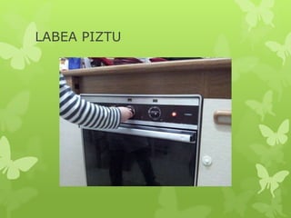 LABEA PIZTU
 