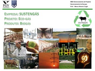 MBA Gerenciamento de Projetos
Gerenciamento do Escopo
Prof. : Marco Antonio Coghi
 