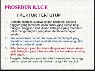 1) Beritahu mangsa supaya jangan bergerak. Sokong
anggota yang tercedera pada posisi yang selesa bagi
mangsa. Tinggikan kedudukan bahagian yang tercedera
untuk mengurangkan pengaliran darah ke bahagian
tersebut.
2) Jika kecederaan itu baru berlaku, demah tempat yang
tercedera dengan ketul-ketul ais dengan tuala yang telah
direndam dalam air sejuk.
3) Balut bahagian yang tercedera dengan kain kapas. Ampu
pada bahagian yang tidak tercedera untuk sokongan yang
lebih teguh.
4) Tinggikan bahagian yang tercedera sementara menunggu
bantuan atau semasa membawa mangsa ke hospital.
FRUKTUR TERTUTUP
 