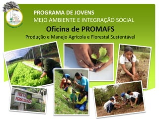 PROGRAMA DE JOVENS
MEIO AMBIENTE E INTEGRAÇÃO SOCIAL
Oficina de PROMAFS
Produção e Manejo Agrícola e Florestal Sustentável
 