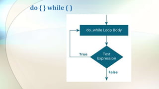 do { } while ( )
 