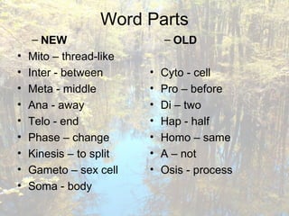 Word Parts
– NEW
• Mito – thread-like
• Inter - between
• Meta - middle
• Ana - away
• Telo - end
• Phase – change
• Kinesis – to split
• Gameto – sex cell
• Soma - body
– OLD
• Cyto - cell
• Pro – before
• Di – two
• Hap - half
• Homo – same
• A – not
• Osis - process
 
