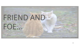 30
https://www.flickr.com/photos/sreybhtiek
 