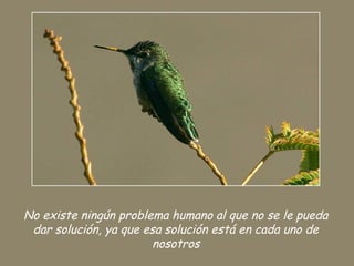 No existe ningún problema humano al que no se le pueda
dar solución, ya que esa solución está en cada uno de
nosotros
 