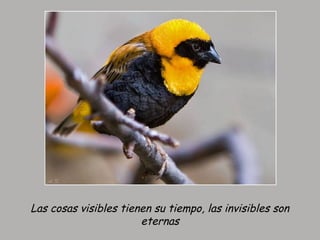 Las cosas visibles tienen su tiempo, las invisibles son
eternas
 