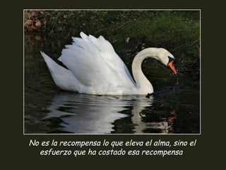 No es la recompensa lo que eleva el alma, sino el
esfuerzo que ha costado esa recompensa
 