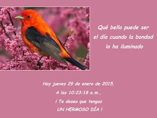 Qué bello puede ser
el día cuando la bondad
lo ha iluminado
Hoy jueves 29 de enero de 2015,
A las 10:23:18 a.m.,
¡ Te deseo que tengas
UN HERMOSO DÍA !
 