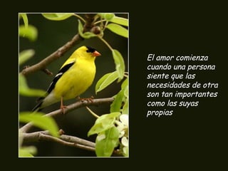 El amor comienza
cuando una persona
siente que las
necesidades de otra
son tan importantes
como las suyas
propias
 
