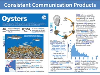 Consistent Communication Products
 
