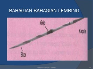 BAHAGIAN-BAHAGIAN LEMBING




          OLAHRAGA/ REJAM LEMBING   11
 