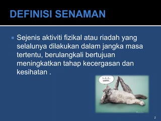    Sejenis aktiviti fizikal atau riadah yang
    selalunya dilakukan dalam jangka masa
    tertentu, berulangkali bertujuan
    meningkatkan tahap kecergasan dan
    kesihatan .




                                                2
 