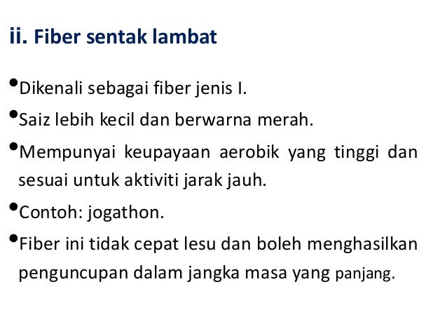 Pjm 3106 Anatomi Dan Fisiologi Sistem Otot