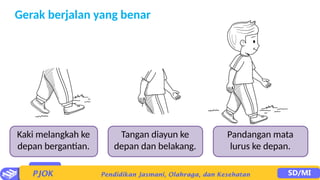 Gerak berjalan yang benar
Kaki melangkah ke
depan bergantian.
Tangan diayun ke
depan dan belakang.
Pandangan mata
lurus ke depan.
 