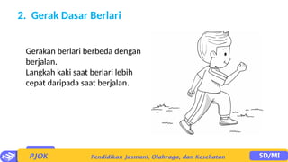 2. Gerak Dasar Berlari
Gerakan berlari berbeda dengan
berjalan.
Langkah kaki saat berlari lebih
cepat daripada saat berjalan.
 