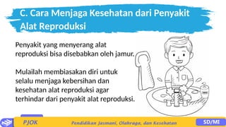 C. Cara Menjaga Kesehatan dari Penyakit
Alat Reproduksi
Penyakit yang menyerang alat
reproduksi bisa disebabkan oleh jamur.
Mulailah membiasakan diri untuk
selalu menjaga kebersihan dan
kesehatan alat reproduksi agar
terhindar dari penyakit alat reproduksi.
 