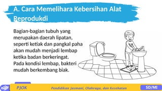 A. Cara Memelihara Kebersihan Alat
Reprodukdi
Bagian-bagian tubuh yang
merupakan daerah lipatan,
seperti ketiak dan pangkal paha
akan mudah menjadi lembap
ketika badan berkeringat.
Pada kondisi lembap, bakteri
mudah berkembang biak.
 