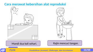 Cara merawat kebersihan alat reproduksi
Mandi dua kali sehari. Rajin mencuci tangan.
 