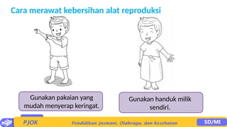 Cara merawat kebersihan alat reproduksi
Gunakan pakaian yang
mudah menyerap keringat.
Gunakan handuk milik
sendiri.
 