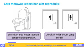Cara merawat kebersihan alat reproduksi
Bersihkan area kloset sebelum
dan setelah digunakan.
Gunakan toilet umum yang
sesuai.
 