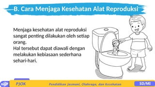 B. Cara Menjaga Kesehatan Alat Reproduksi
Menjaga kesehatan alat reproduksi
sangat penting dilakukan oleh setiap
orang.
Hal tersebut dapat diawali dengan
melakukan kebiasaan sederhana
sehari-hari.
 