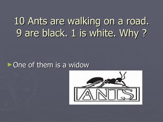 10 Ants are walking on a road.
 9 are black. 1 is white. Why ?


► One   of them is a widow
 