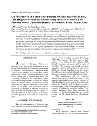 Pakistan J. Zool., vol. 42(1), pp. 17-22, 2010.
On First Record of a Trematode Parasite of Genus Pleorchis Railliet,
1896 (Digenea: Pleorchiidae Poche, 1926) From Intestine of a Fish,
Psettodes erumei (Pleuronectiformes: Psettodidae) From Indian Ocean
A.M. Saxena*, Samta Johri and Rahul Gupta
Department of Zoology, University of Lucknow, Lucknow-226 007, Uttar Pradesh, India (AMS, RG) and
Department of Zoology, Mahila P.G. College, Lucknow, Uttar Pradesh, India (SJ)
Abstract.- The genus Pleorchis Railliet, 1896 is designated to rare digenetic distomes living as parasite in the
intestine of marine fishes, having numerous testes arranged in four longitudinal rows in hindbody. A total of 14
species have been attributed to the genus, while another 4 species are no longer considered the member of Pleorchis.
In this study a new form is described and we critically overviewed the genus. Collection of two ovigerous specimens
was recovered live at Deegha, West Bengal, India (Indian Ocean) from the intestine of a marine fish, Psettodes erumei
(Bloch & Schneider) out of 40 examined. The present form differs from all nominal species of the Pleorchis in having
48 testes, unequal anterior intestinal caeca, vitellaria extending from a little anterior of ovary up to hind end of body
and an entire unlobed ovary. In view of unique morphoanatomical characters it seems that the present form deserves
the status of a new species with a specific name Pleorchis srivastavai n. sp. All known species of genus seems to be
rare digeneans as evident by their respective studies and these are important link of marine ecosystem.
Keywords: Digenea, Pleorchis, Psettodes erumei (Bloch & Schneider), trematode parasite.
INTRODUCTION
A species of the genus Pleorchis is
described on the basis of specimens recovered from
the intestine of marine fish Psettodes erumei (Bloch
& Schneider) from sea coast of Deegha (latitude
21°37′2″N and longitude 87°30′9″E), West Bengal,
India (Indian Ocean). Considering the facts of recent
studies the new form is described with utmost care.
According to Madhavi and Narasimhulu (1985)
wide variation in the number of testes and anterior
extent of vitelline follicles are the only features
dependable for species separation in this genus.
Bartoli et al. (2004) also considered that the
vitellarium and the shape of intestinal caeca are the
key characters in distinguishing the species of
Pleorchis. The aim of this study was to evaluate a
Pleorchis species on above basis and overview the
genus.
MATERIALS AND METHODS
Two ovigerous specimens of the present form
were collected live from the intestine of Psettodes
* Corresponding author: anandmsaxena@rediffmail.com
0030-9923/2010/0001-0000 $ 8.00/0
Copyright 2010 Zoological Society of Pakistan.
erumei out of 40 fishes examined (Prevalence:
0.025; Mean intensity: 2), fixed under a slight
pressure of coverglass in AFA fixative (50%
alcohol, formaline and acetic acid in ratio of
100:6:2.5). The parasites were stained in aqueous
acetoalum carmine, differentiated in acid water,
dehydrated through ascending series of ethanol,
cleared in xylol and mounted in Canada balsam. The
diagrams were made with the aid of camera lucida.
The measurements of two ovigerous
specimens are given in millimeter (mm). In the
present work distance between anterior extremity of
the body and anterior margin of the ventral sucker is
referred as ‘forebody’ and the distance between
posterior margin of the ventral sucker and posterior
extremity of the body is referred as ‘hindbody’. The
voucher specimens have been submitted to
Depository of the Helminthological Society of India
of Late Prof. S.P. Gupta, University of Lucknow,
India.
RESULTS
Family: Pleorchiidae Poche, 1926
Pleorchis srivastavai, new species
(Fig. 1)
Description
Body elongated; aspinose with rounded
anterior end and more or less truncated posterior
 