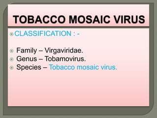 CLASSIFICATION : -
 Family – Virgaviridae.
 Genus – Tobamovirus.
 Species – Tobacco mosaic virus.
 