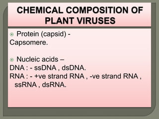  Protein (capsid) -
Capsomere.
 Nucleic acids –
DNA : - ssDNA , dsDNA.
RNA : - +ve strand RNA , -ve strand RNA ,
ssRNA , dsRNA.
 