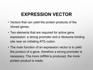 Various virus vector related to Plant and Animal for gene cloning and ...