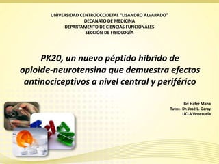 UNIVERSIDAD CENTROOCCIDETAL “LISANDRO ALVARADO”
                     DECANATO DE MEDICINA
            DEPARTAMENTO DE CIENCIAS FUNCIONALES
                     SECCIÓN DE FISIOLOGÍA




     PK20, un nuevo péptido hibrido de
opioide-neurotensina que demuestra efectos
 antinociceptivos a nivel central y periférico

                                                                 Br: Hafez Maha
                                                         Tutor. Dr. José L. Garay
                                                                UCLA Venezuela
 