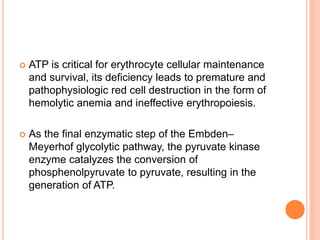  ATP is critical for erythrocyte cellular maintenance
and survival, its deficiency leads to premature and
pathophysiologic red cell destruction in the form of
hemolytic anemia and ineffective erythropoiesis.
 As the final enzymatic step of the Embden–
Meyerhof glycolytic pathway, the pyruvate kinase
enzyme catalyzes the conversion of
phosphenolpyruvate to pyruvate, resulting in the
generation of ATP.
 