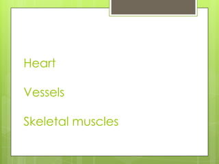 Heart

Vessels

Skeletal muscles
 