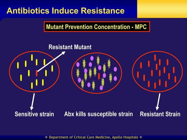 PK and PD for antibiotic use.ppt