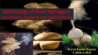 Aerobiology of Plant Pathogens:
Mechanisms, Gradients and Spatial Patterns
Pravin Kumar Bagaria
L-2018-A-58-D
 
