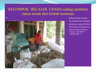 KELOMPOK BELAJAR USAHA sedang membuat
pakan ternak dari limbah pertanian
 Bahan Pakan ternak
ini terbuat ini terbuat dari limbah
 pertanian yang tidak di
• manfaatkan sehingga men
• pakan alternatif hewan
ternak ternak.. SELAMAT
MENCOB MENCOBA…!!
 