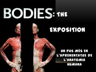 : THE
EXPOSITION
UN PAS MÉS EN
L’APRENENTATGE DE
L’ANATOMIA
HUMANA
 