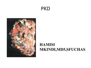 PKD
HAMISI
MKINDI,MD5,SFUCHAS
 