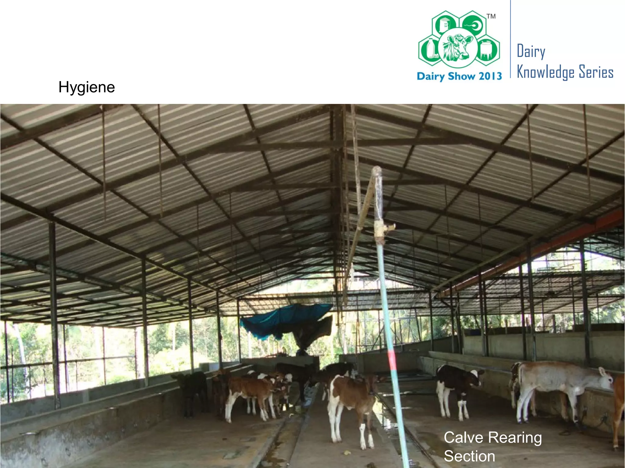 Dairy
                                      Knowledge Series
Hygiene




          DEDP Visakhapatnam – 22 December, 2012
                            Calve Rearing
                            Section
 