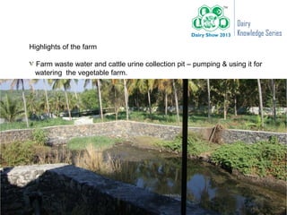 Dairy
                                                                  Knowledge Series
Highlights of the farm

 Farm waste water and cattle urine collection pit – pumping & using it for
 watering the vegetable farm.
 