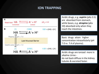 ION TRAPPING
Acidic drugs, e.g. aspirin (pKa 3.5)
are absorbed from stomach,
while bases, e.g. atropine (pKa
10) absorbed only when they
reach the intestines.
Basic drugs attain higher
concentration intracellularly (pH
7.0 vs 7.4 of plasma).
Acidic drugs are ionized more in
alkaline Urine -
do not back diffuse in the kidney
tubules & excreted faster.
 