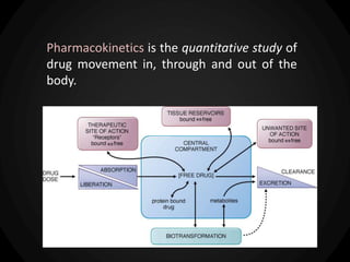 Pharmacokinetics is the quantitative study of
drug movement in, through and out of the
body.
 