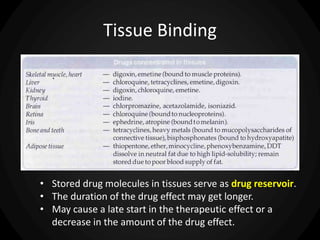 Tissue Binding
• Stored drug molecules in tissues serve as drug reservoir.
• The duration of the drug effect may get longer.
• May cause a late start in the therapeutic effect or a
decrease in the amount of the drug effect.
 