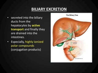 • secreted into the biliary
ducts from the
hepatocytes by active
transport and finally they
are drained into the
intestines.
• Especially, highly ionized
polar compounds
(conjugation products)
BILIARY EXCRETION
 