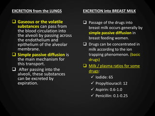  Passage of the drugs into
breast milk occurs generally by
simple passive diffusion in
breast feeding women.
 Drugs can be concentrated in
milk according to the ion
trapping phenomenon. (basic
drugs)
 Milk / plasma ratios for some
drugs:
 Iodide: 65
 Propyltiouracil: 12
 Aspirin: 0.6-1.0
 Penicillin: 0.1-0.25
 Gaseous or the volatile
substances can pass from
the blood circulation into
the alveoli by passing across
the endothelium and
epithelium of the alveolar
membrane.
 Simple passive diffusion is
the main mechanism for
this transport.
 After passing into the
alveoli, these substances
can be excreted by
expiration.
EXCRETION from the LUNGS EXCRETION into BREAST MILK
 