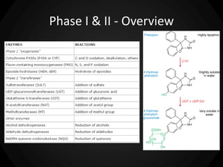 Phase I & II - Overview
 