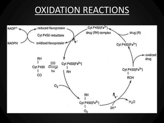 OXIDATION REACTIONS
 