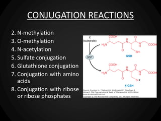 CONJUGATION REACTIONS
2. N-methylation
3. O-methylation
4. N-acetylation
5. Sulfate conjugation
6. Glutathione conjugation
7. Conjugation with amino
acids
8. Conjugation with ribose
or ribose phosphates
 