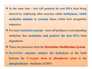  At the same time - host cell protects its own DNA from being
cleaved by employing other enzymes called methylases, which
methylate adenine or cytosine bases within host recognition
sequences
 For each restriction enzyme - host cell produces a corresponding
methylase that methylates and protects the host DNA from
degradation
 These two processes form the Restriction Modification System
 Restriction enzymes catalyze the hydrolysis of the bond
between the 3’-oxygen atom & phosphorus atom in the
phosphodiester - backbone of DNA
 